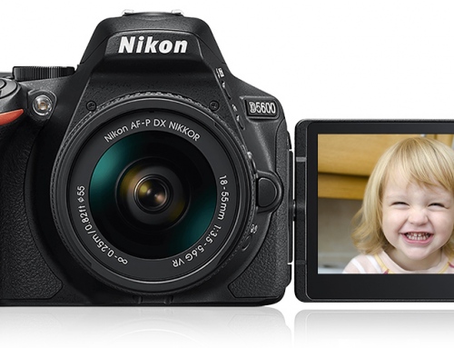 Nikon D5600 Review