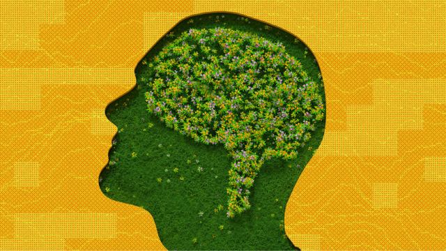 Silhouette of a head with a brain made of grass and flowers on a yellow textured background, hinting at sentience.