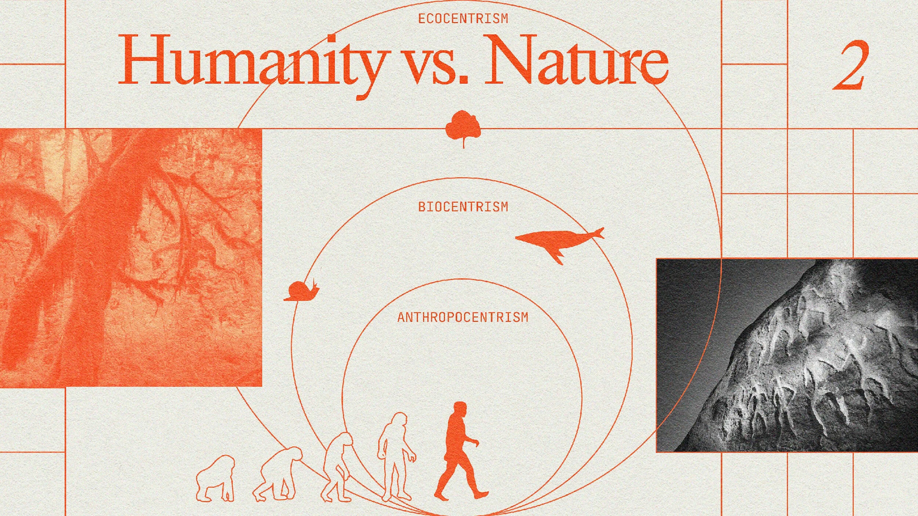 Illustration depicting "Humanity vs. Nature" with diagrams of evolution, ecocentrism, biocentrism, and anthropocentrism, featuring images of a tree, human evolution, and a whale.