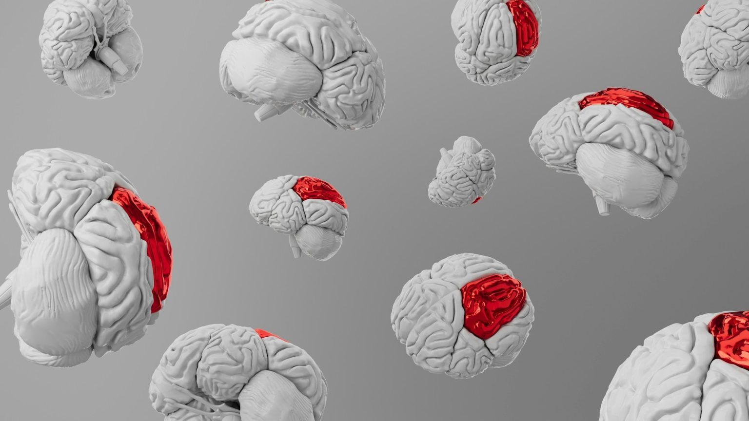 Digital rendering of multiple human brain models floating against a gray background, highlighting specific brain regions in red.