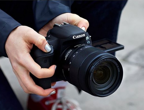 Canon 77D: The best vlogger camera?