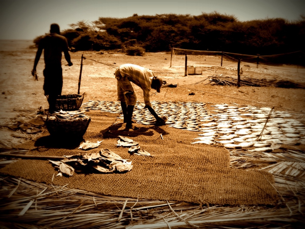 Mannar Dried fish