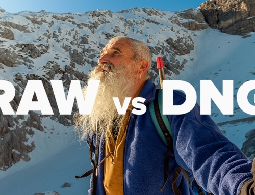 RAW vs DNG