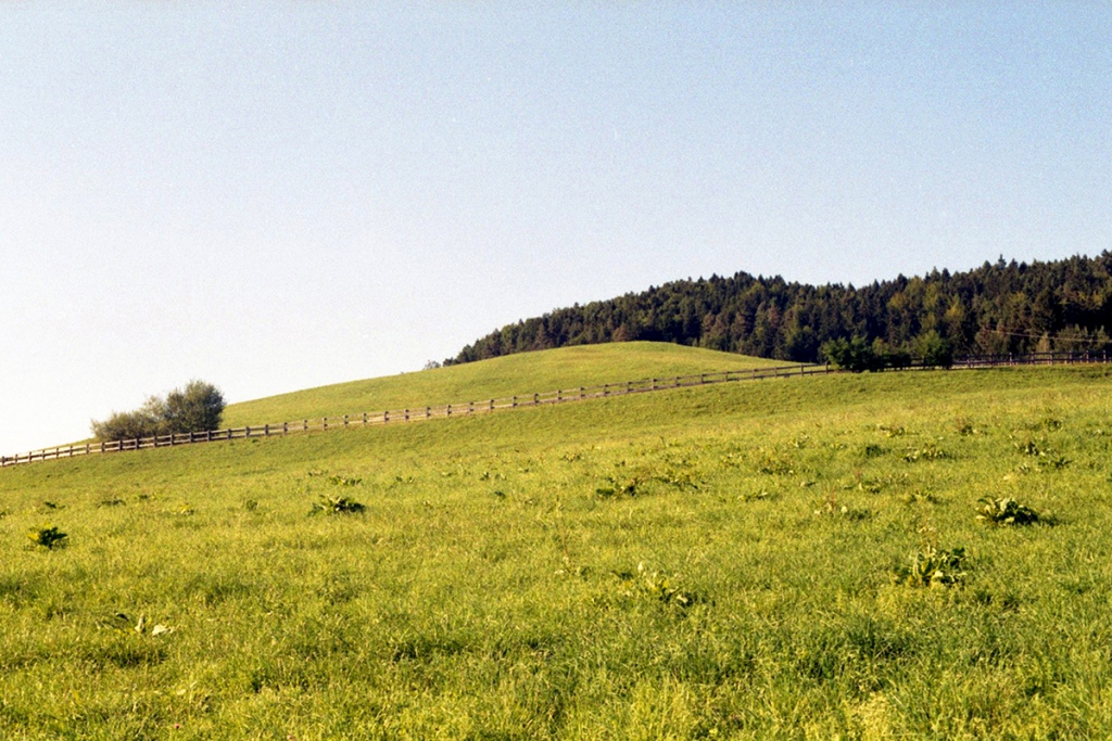 Velenje, 2012 - 35mm negative, Fujicolor Superia X-TRA 800